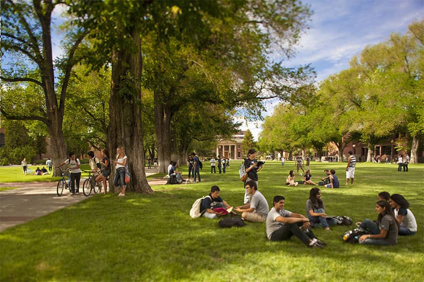 Campus Gathering Spot