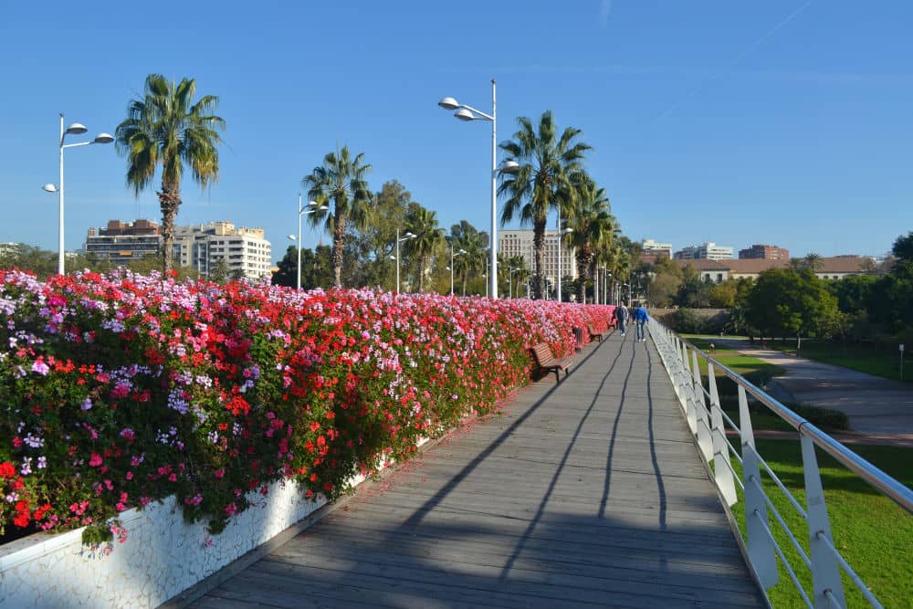 Historic Bridges