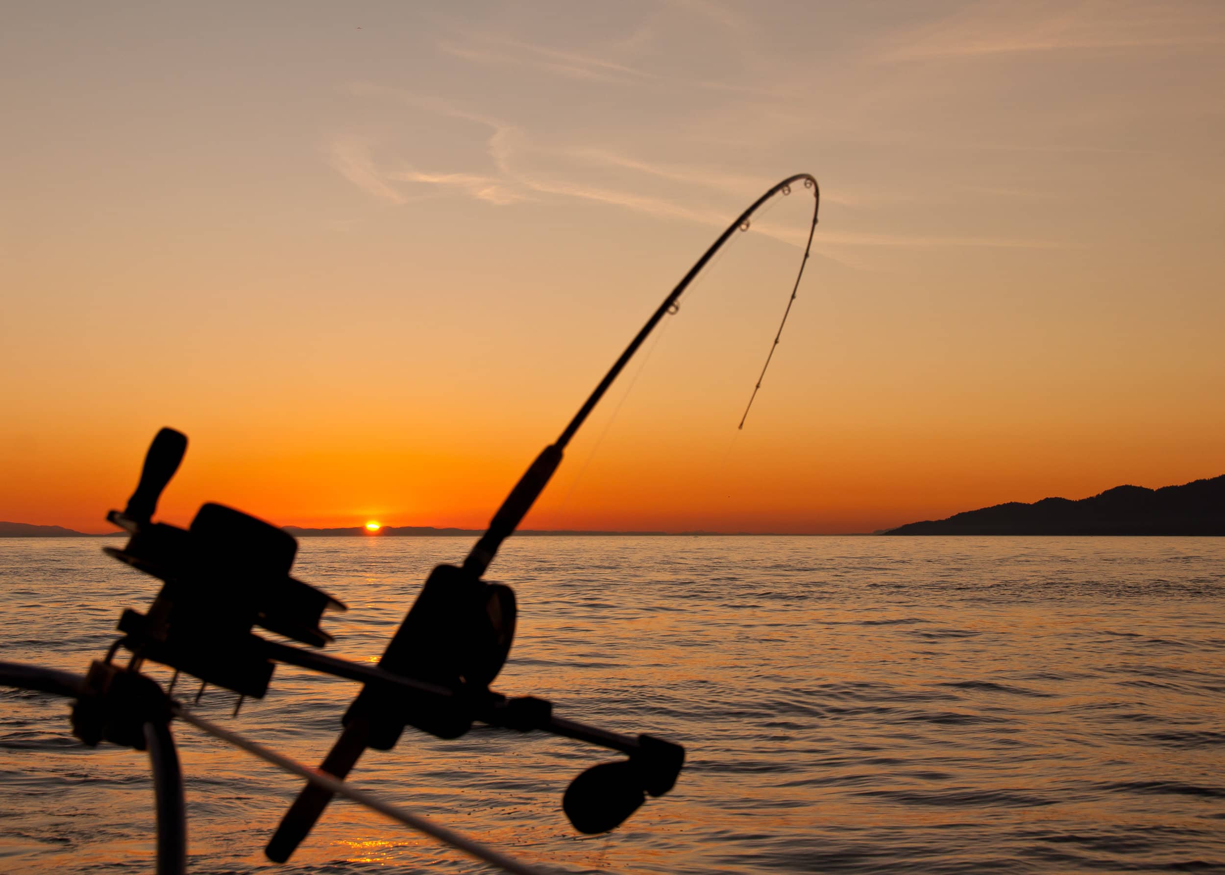 Shore Fishing