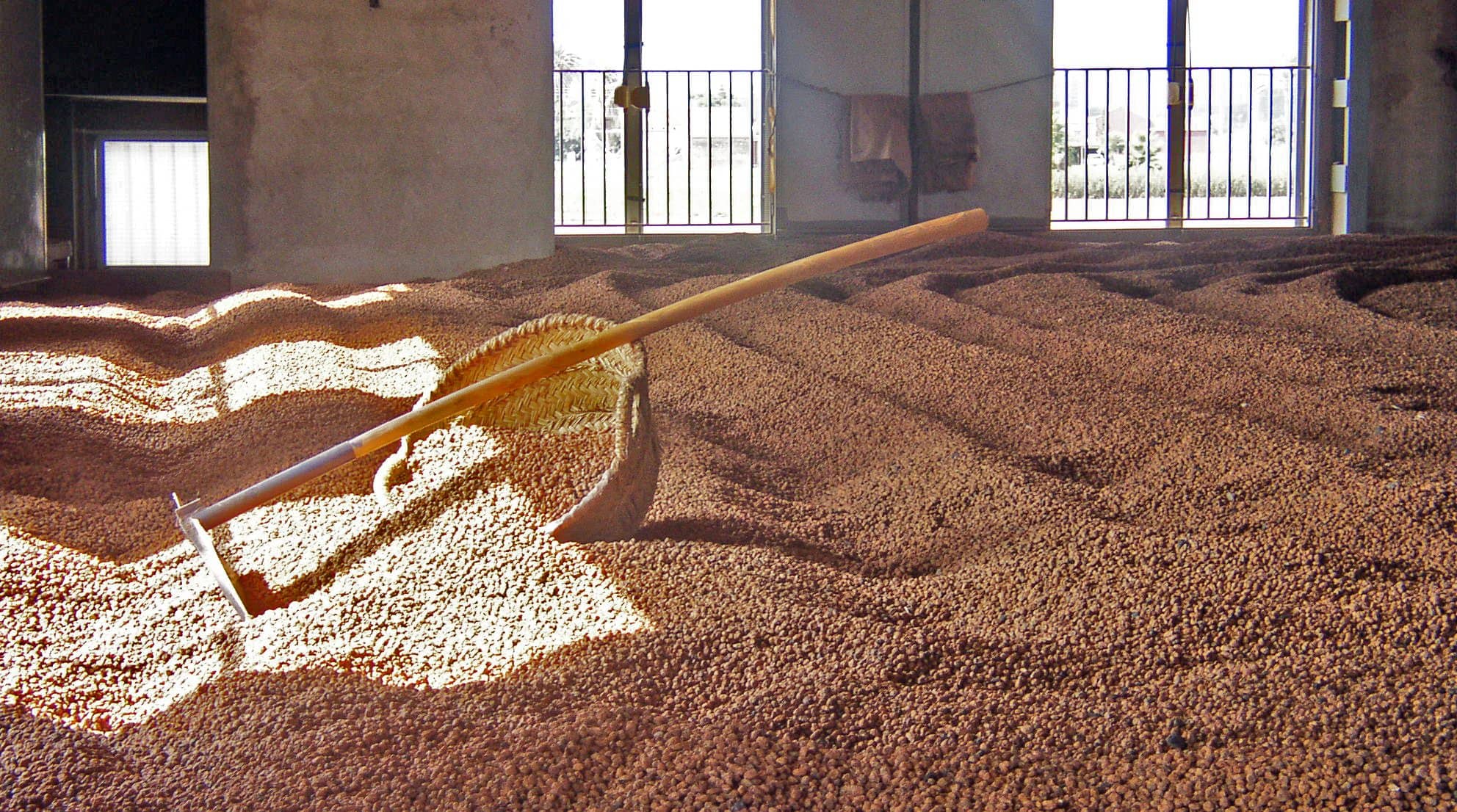 Horchata Factory Tours