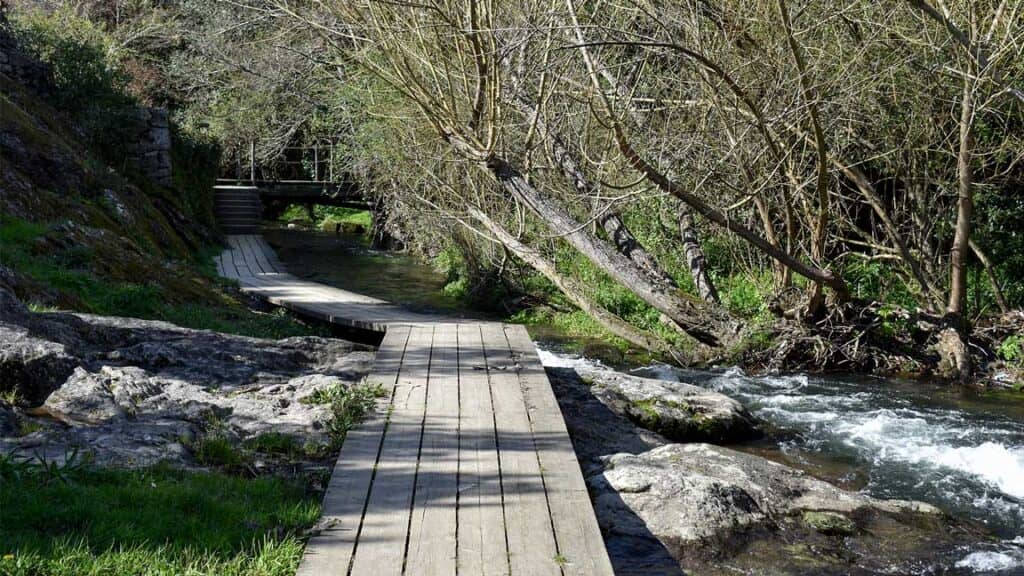 Sarela River Promenade