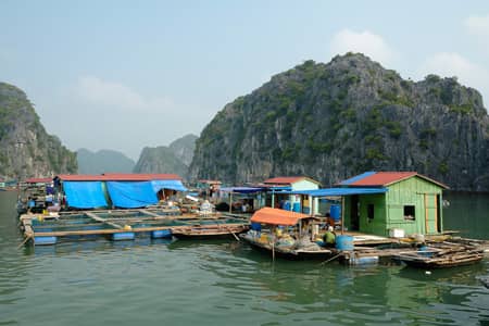 Panoramic Vistas