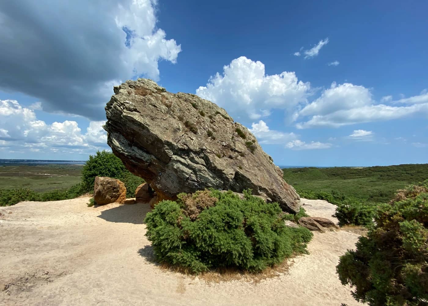 Panoramic Heathland Views