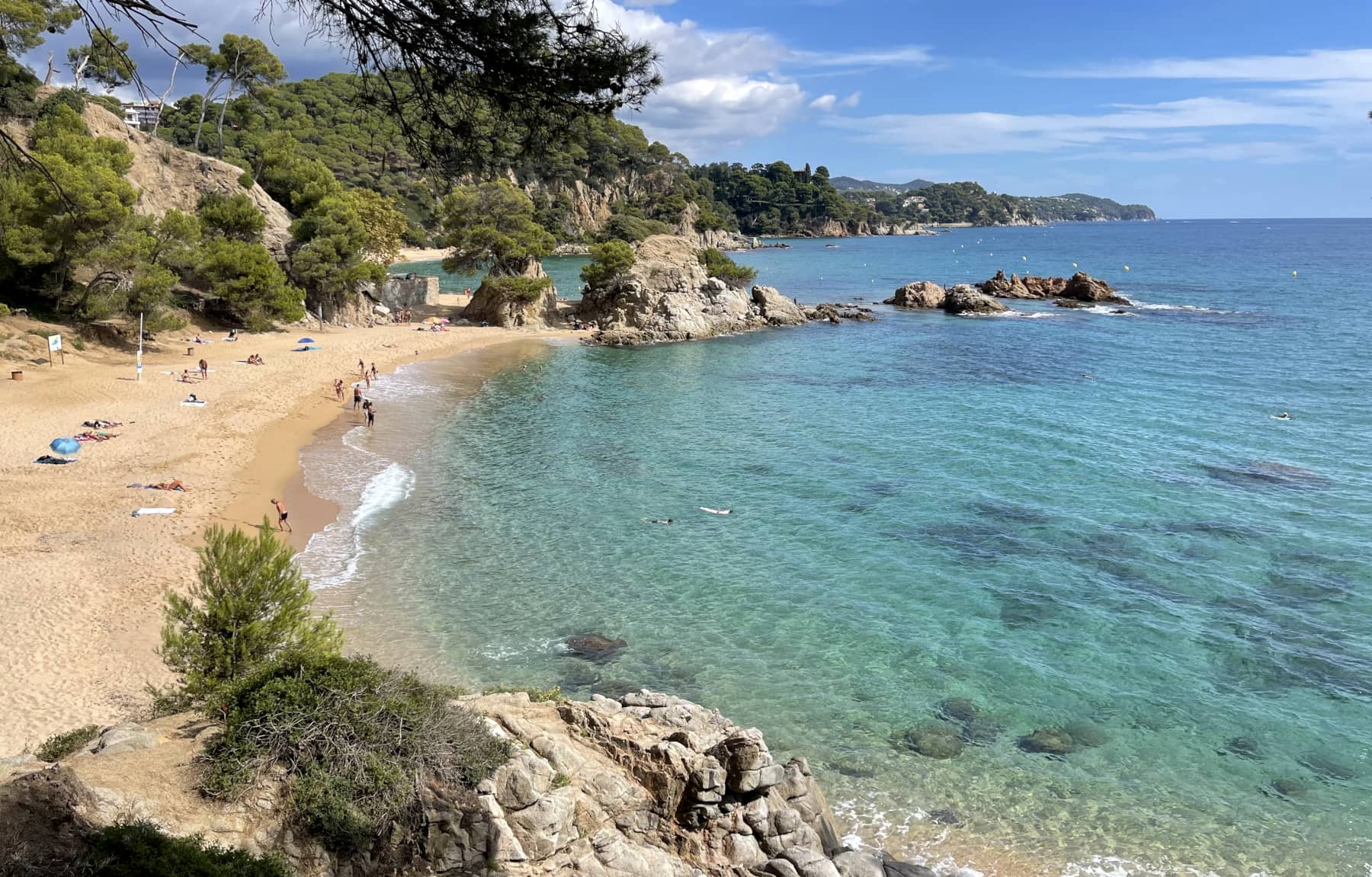 Connected Coves