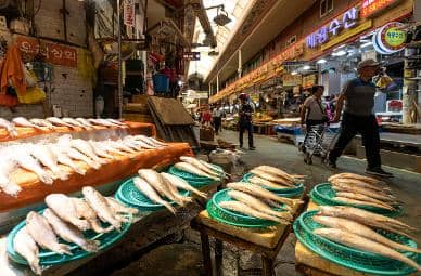 Fresh Seafood & Produce