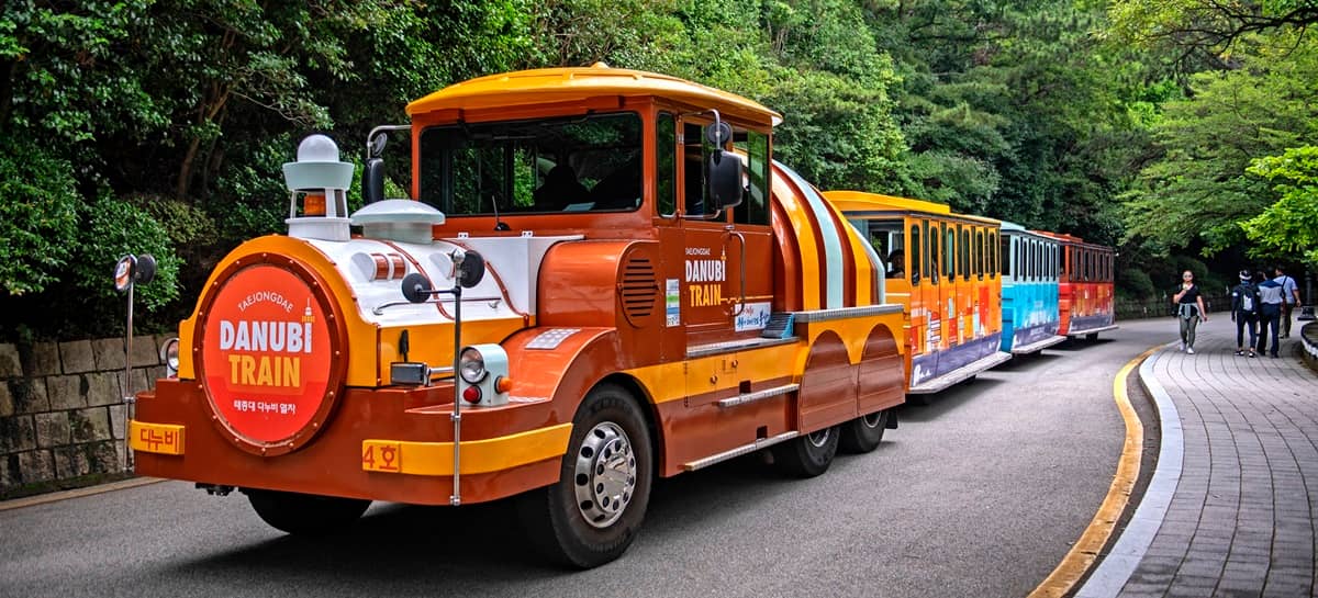 Danubi Train
