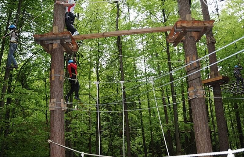 Forest High Ropes Course