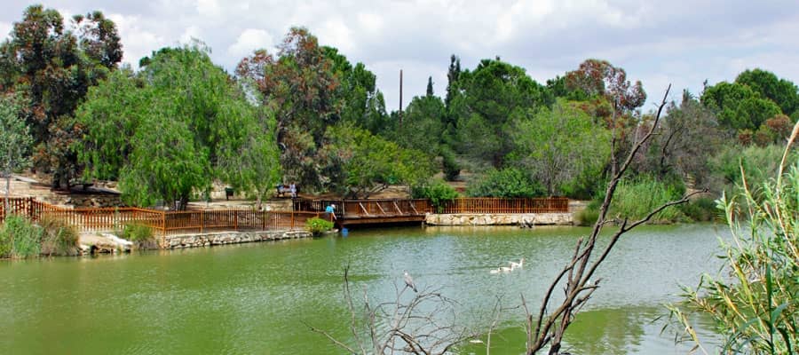 Nature Trails