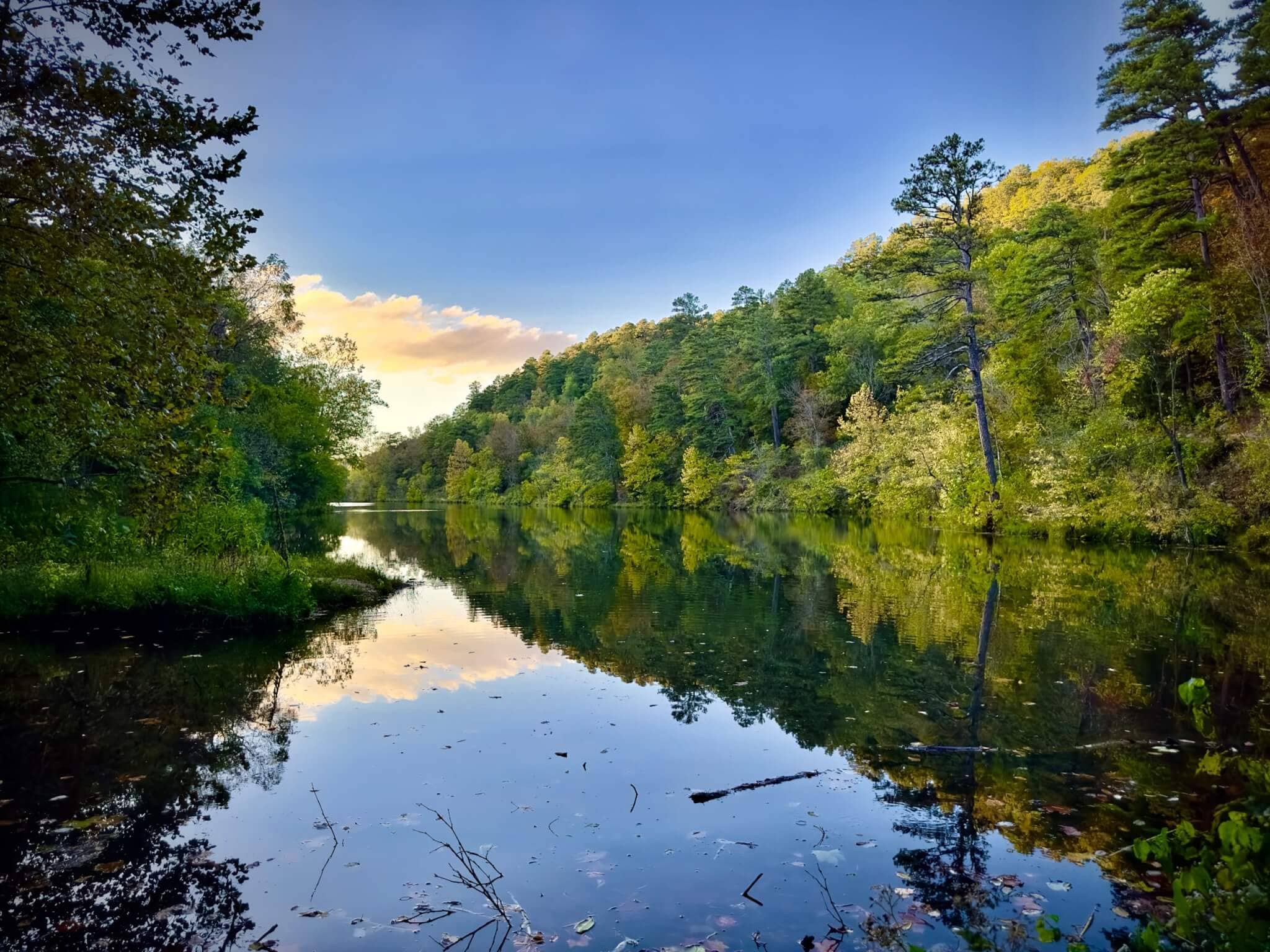 Bluff Trail