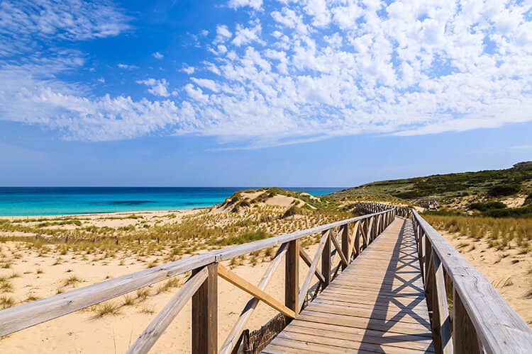 Dramatic Sand Dunes