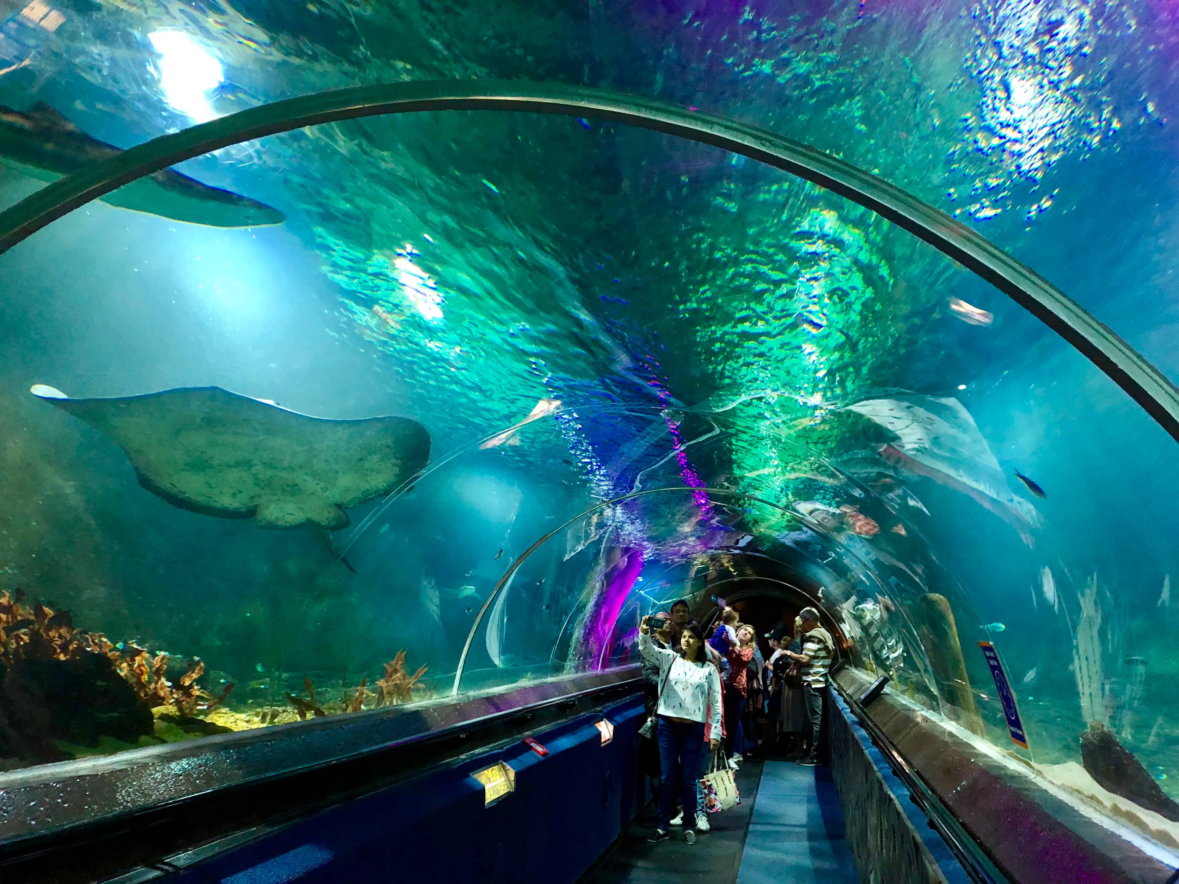 Underwater World Tunnel