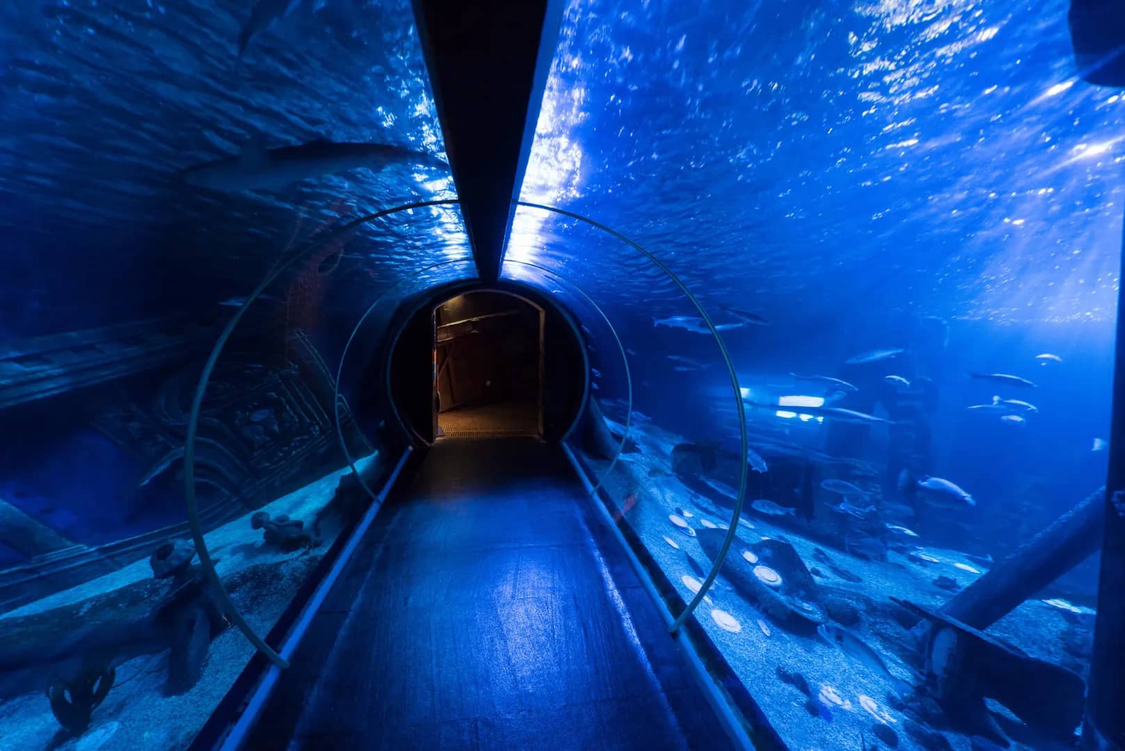 Sea Life Aquarium