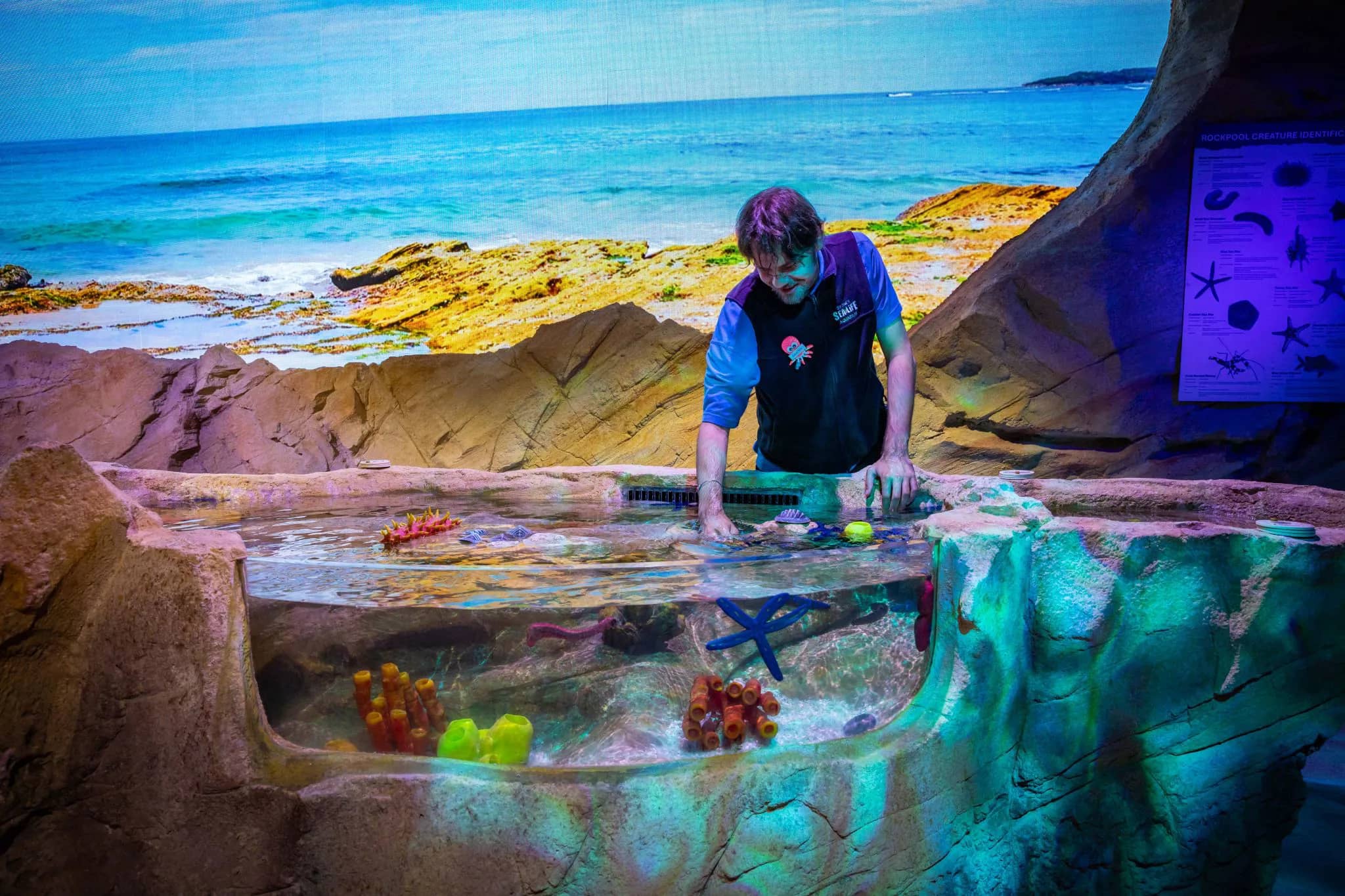 New Touch Rockpool