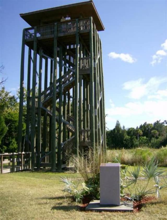 Observation Tower