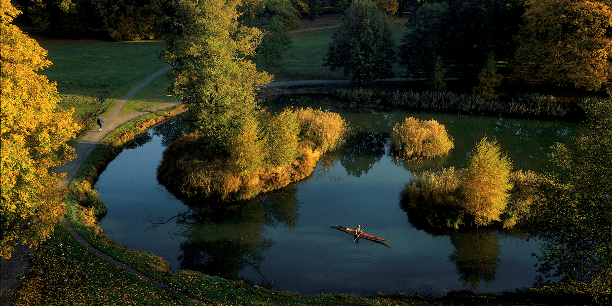 Pond and Backwaters