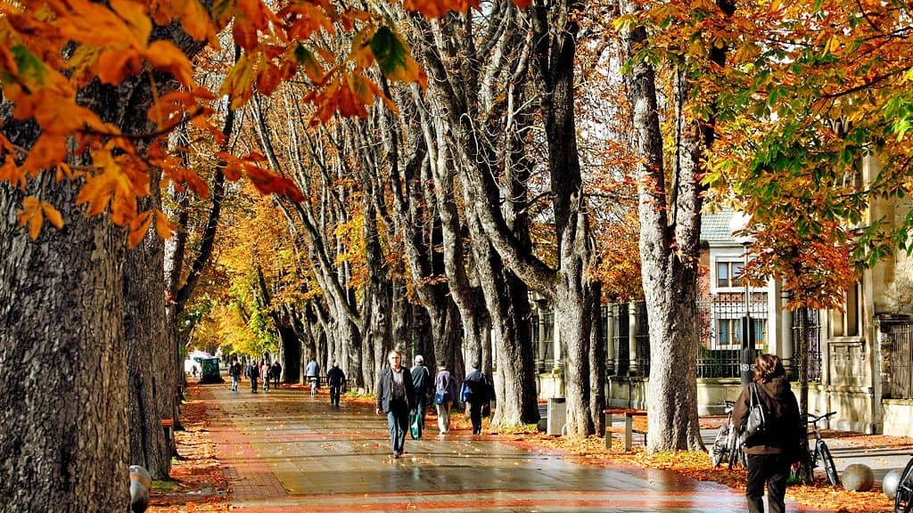 The Promenade Itself