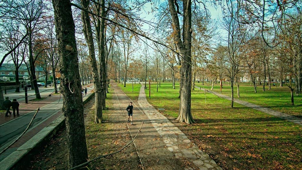 Tranquil Walking Paths