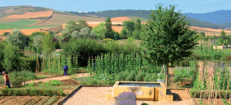 The Arboretum