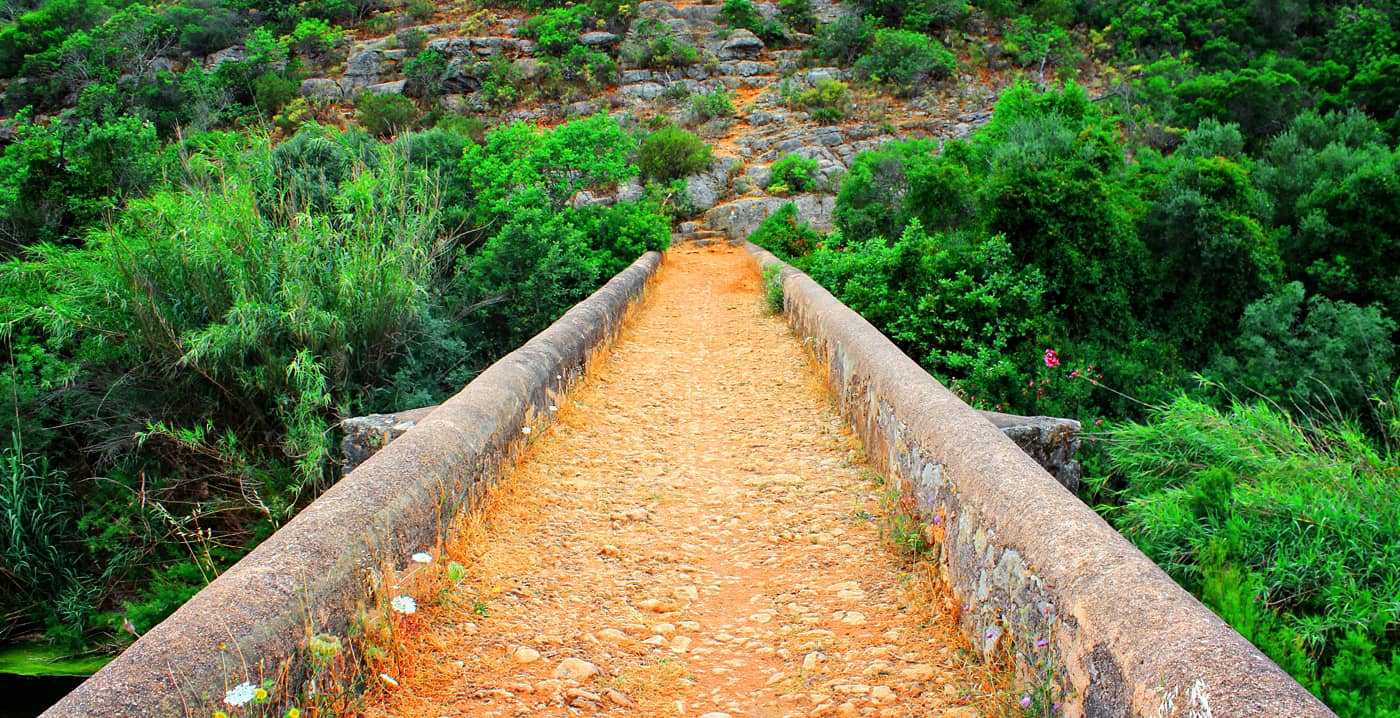 Quarteira River Valley Trails