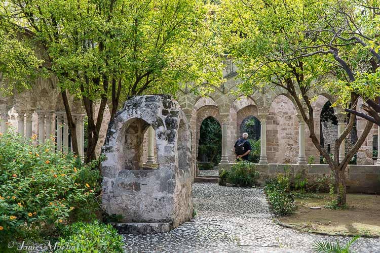Tranquil Cloister Garden