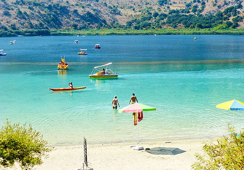 Refreshing Lake Swim