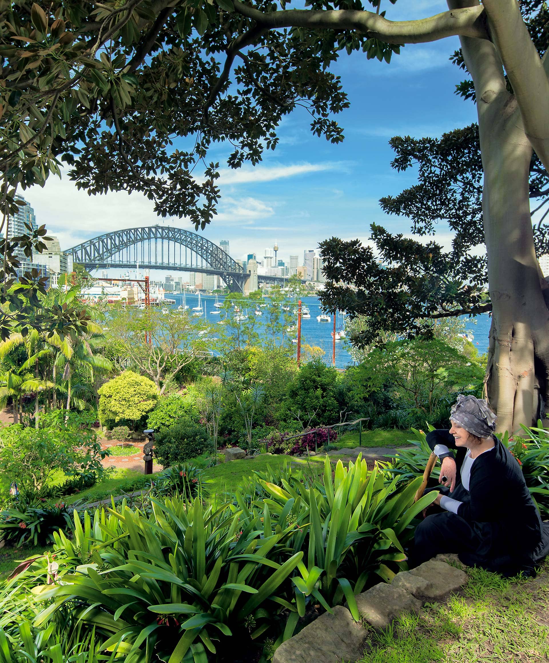 Lush Greenery