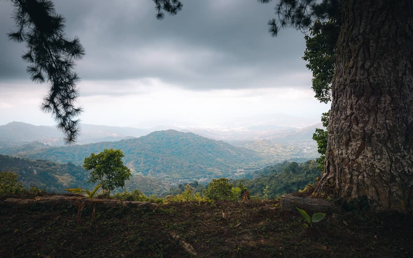 Los Pinos Hike