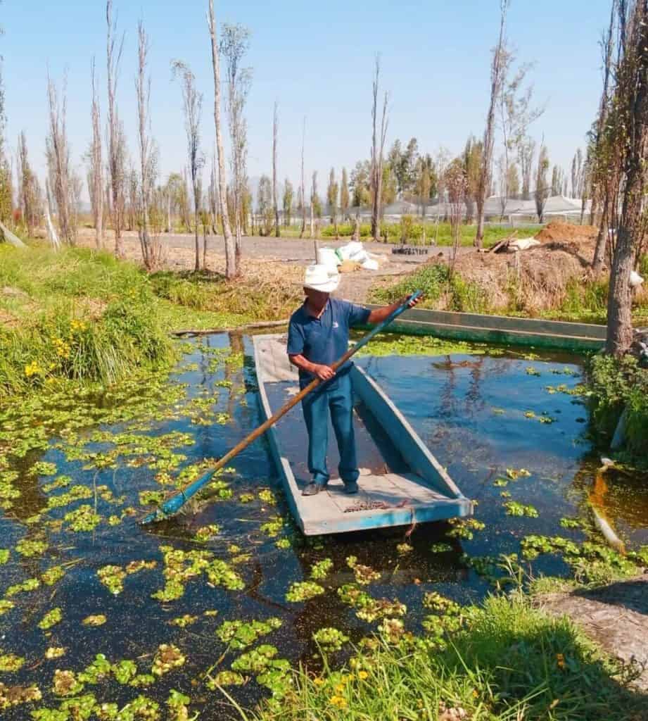 Chinampas (Floating Gardens)