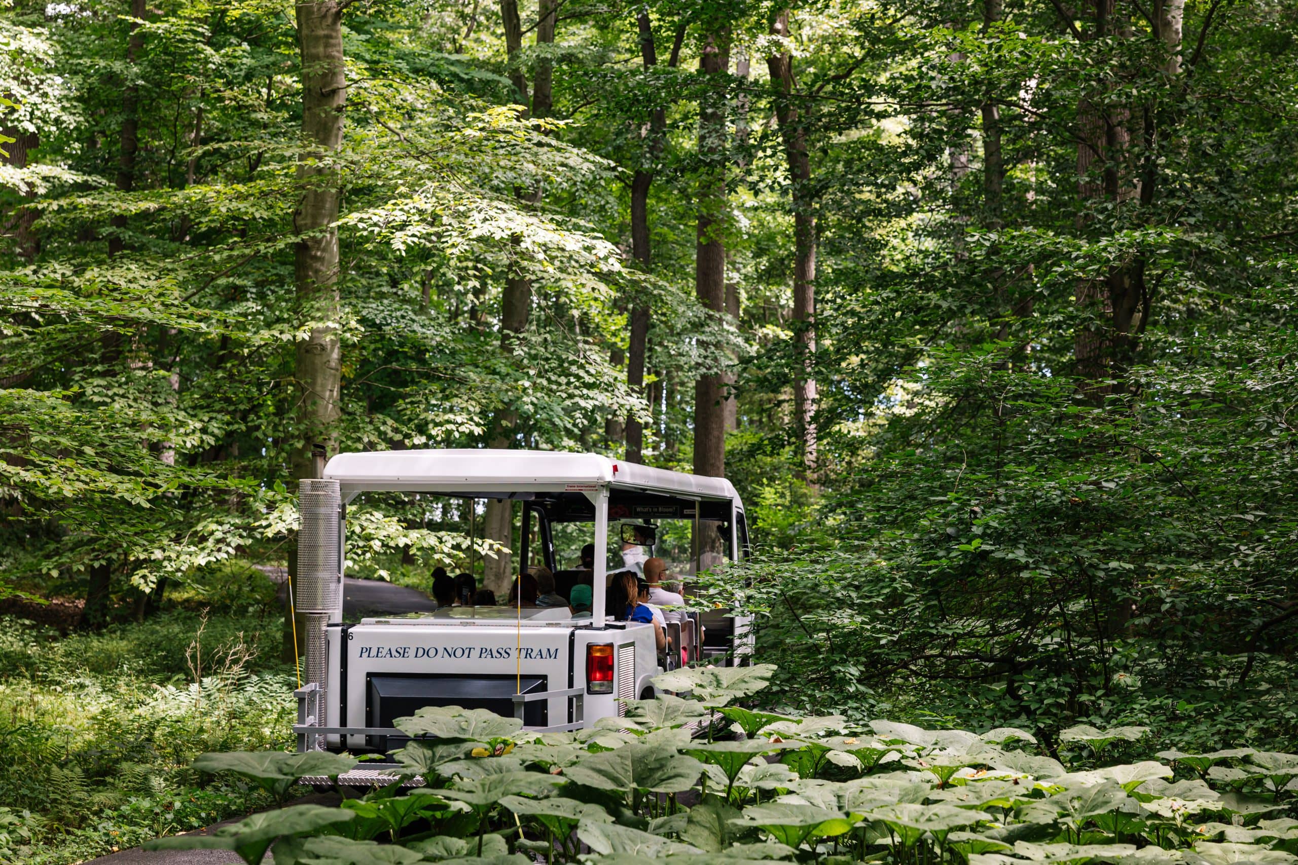 Tram Garden Tour