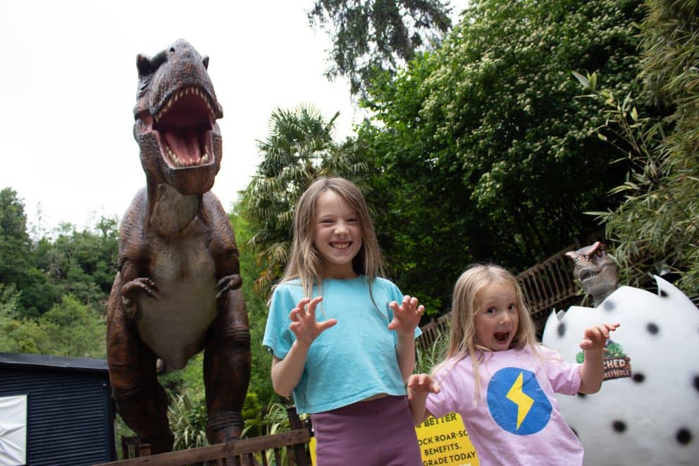 Dinosaur Valley