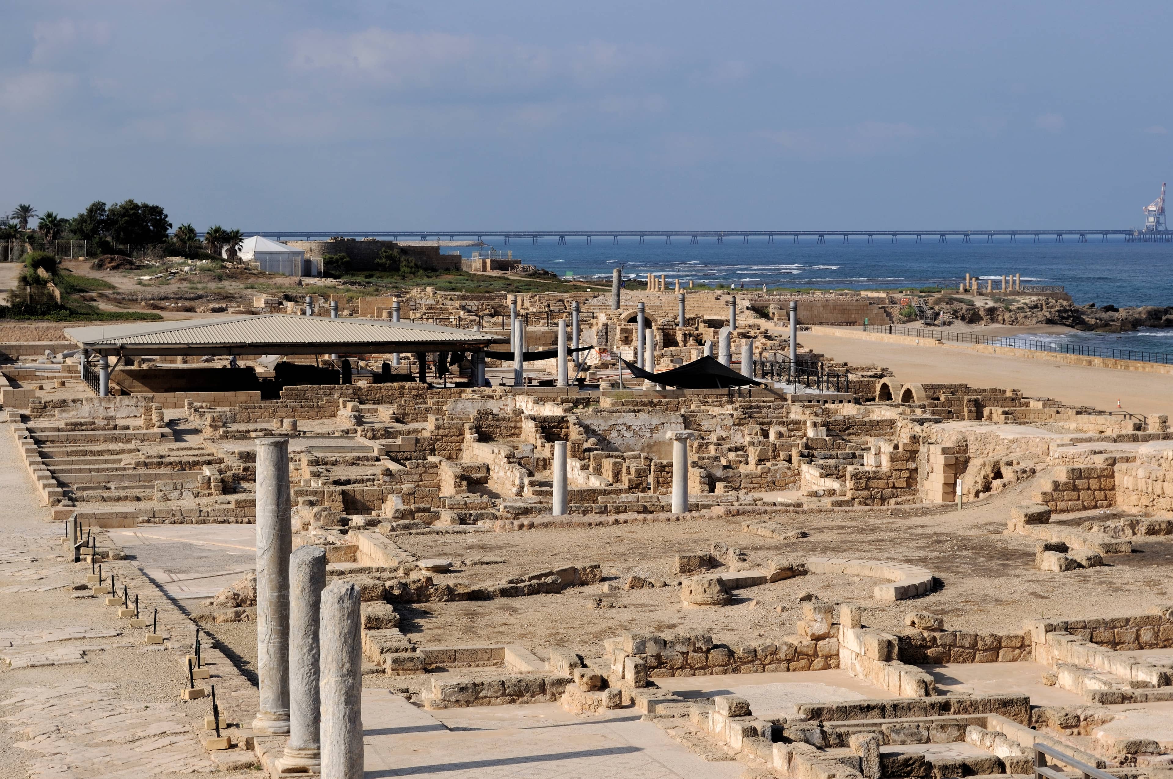 The Harbor Area