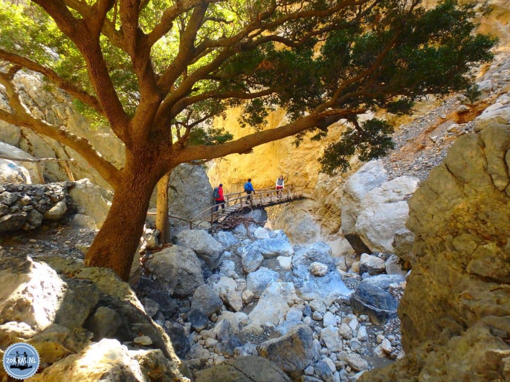 Rouvas Gorge Hike