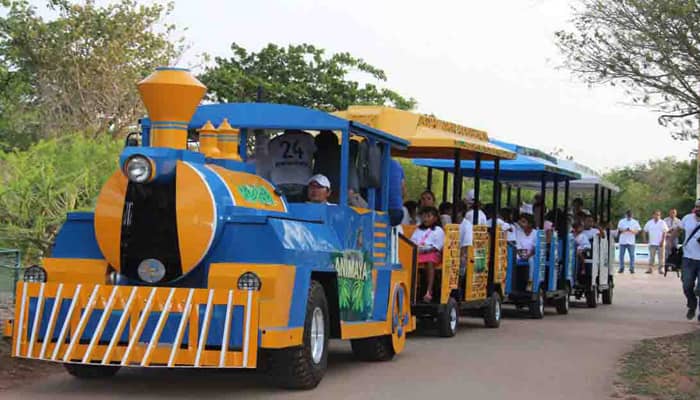 Safari Train Adventure