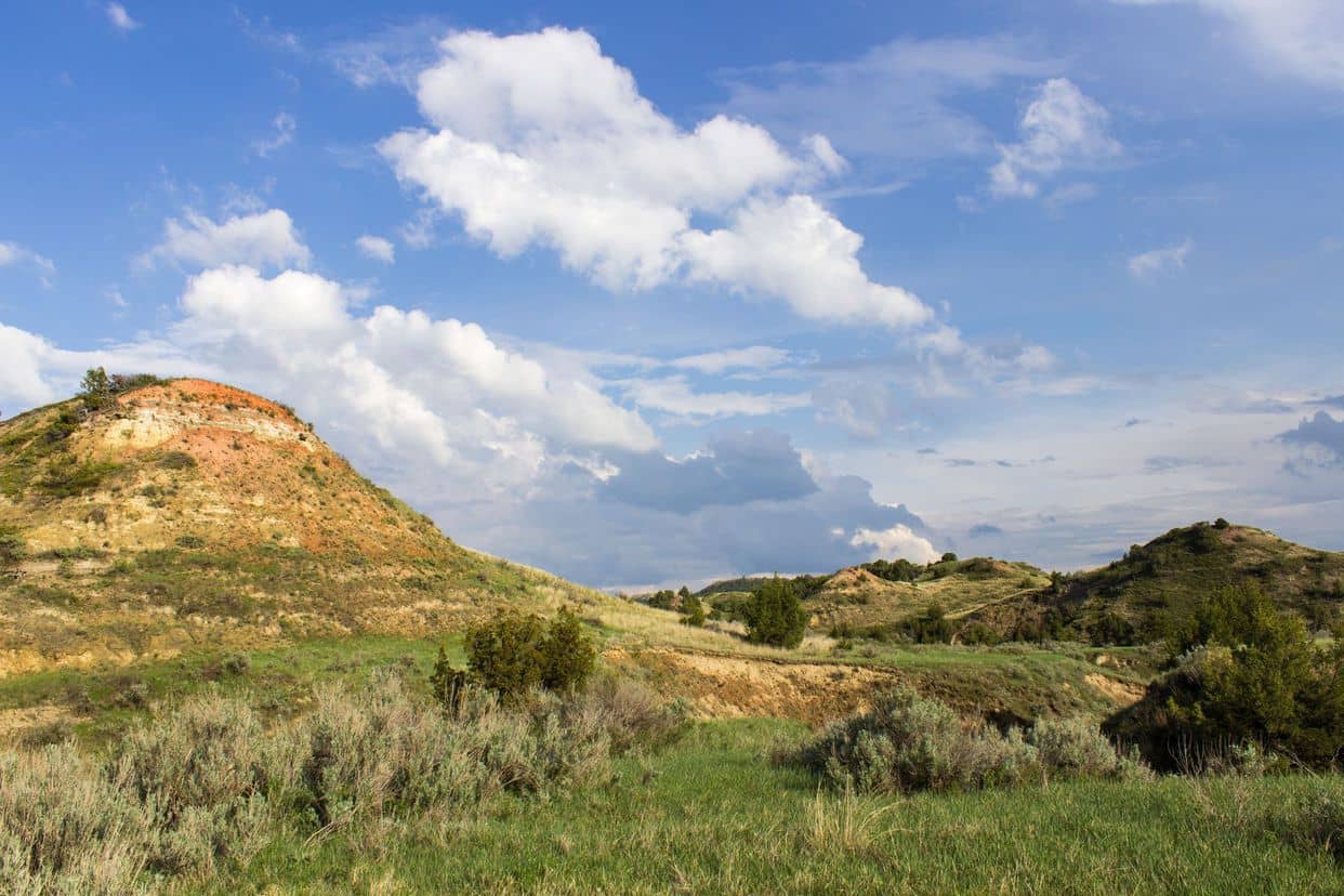Scenic Walking Trails