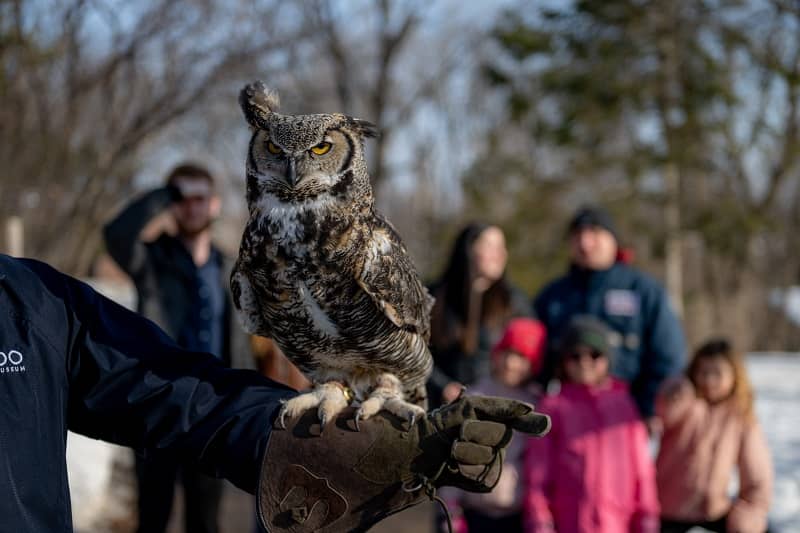 Interactive Animal Experiences