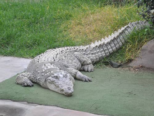 The Zoo and Ecopark