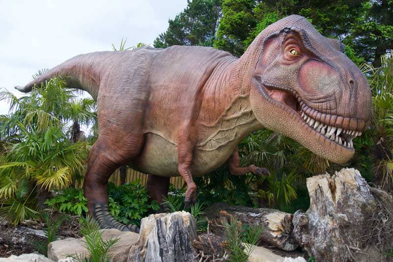Dino's Unearthed
