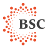 BSC (EN)
