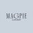 Magpie by Jen Shoop