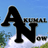 AkumalNow