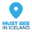 Must See In Iceland