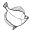 flatfish