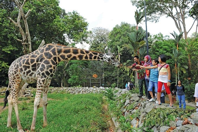 Zoo