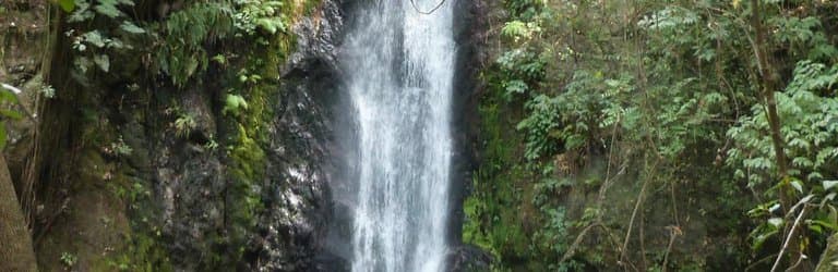 Cascada