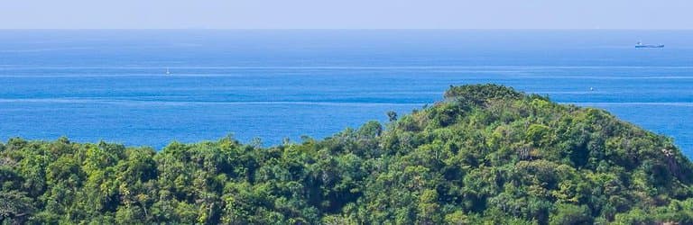 Jungle Beach