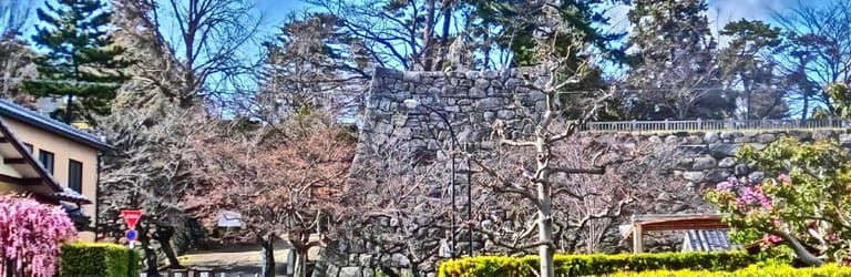 生垣と石畳（絵画調）