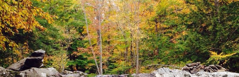 Water was low due to little rain this summer.