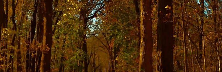 Driving along Hickory Creek