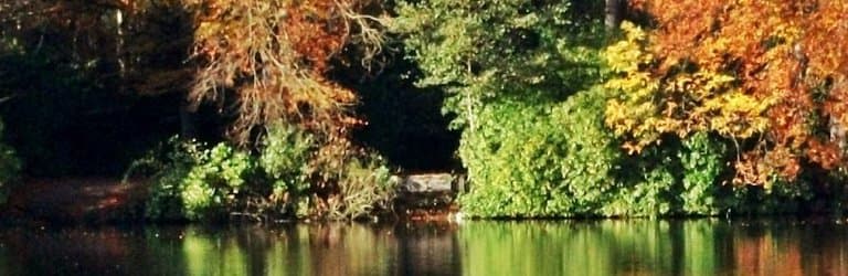 Autumn Lake