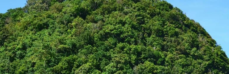 На подходе к острову